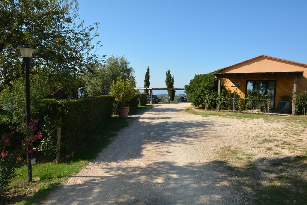 Agriturismo Podere L'Aione Scansano Exteriör bild